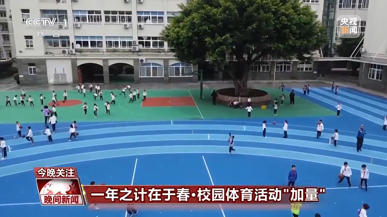 类似的策略