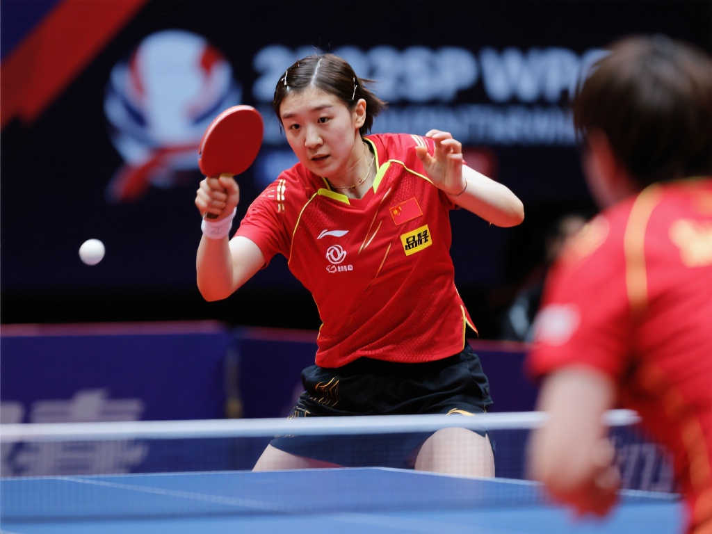 球队的整体 球队的整体